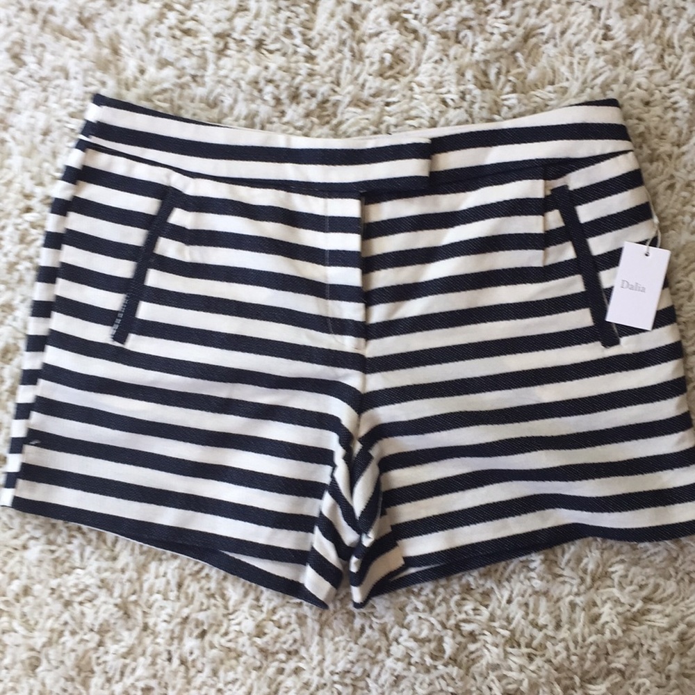 DAHLIA Dressy Shorts Black/White Stripe